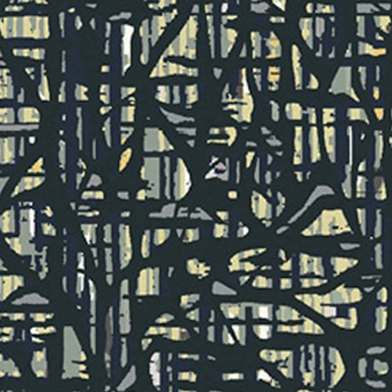 TR006V